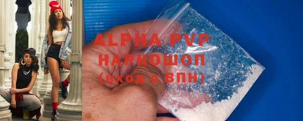 гидра Бородино