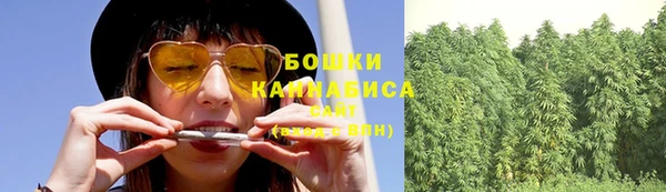 гидра Бородино