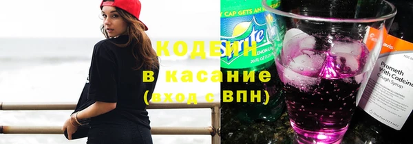гидра Бородино