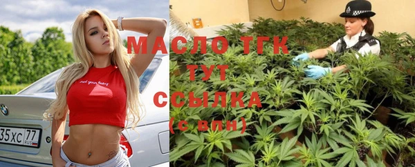 гидра Бородино