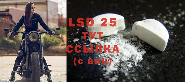 гидра Бородино