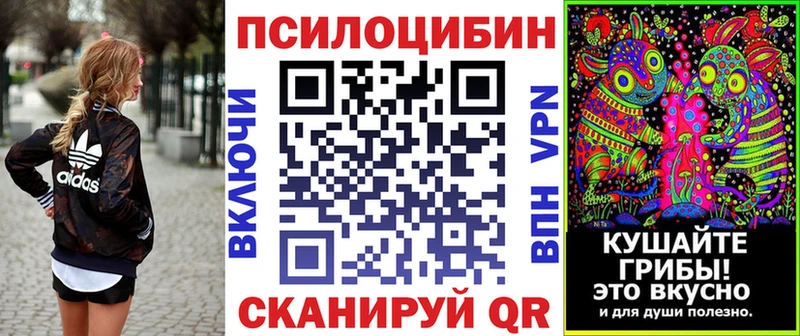 Псилоцибиновые грибы прущие грибы  Сыктывкар 